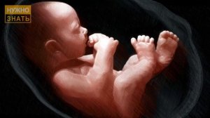 34 неделя беременности. Развитие плода. Что чувствует беременная. Как выглядит ребенок на 33 неделе