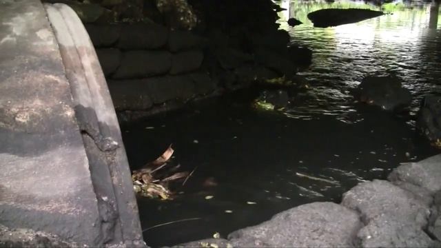 The Urban Explorer- Episode One- Florida смотреть онлайн