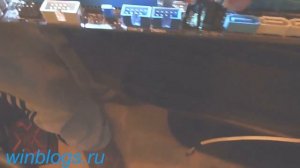 Подсоединение проводов к материнской плате asus P8Z77 V LX