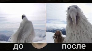 ЖУТКИЕ КАДРЫ ПТИЦЫ ИЗ 2027 ГОДА // Мем 2027 года вышел на новый уровень