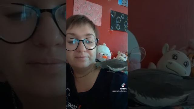 Как приручить кореллу смотреть онлайн