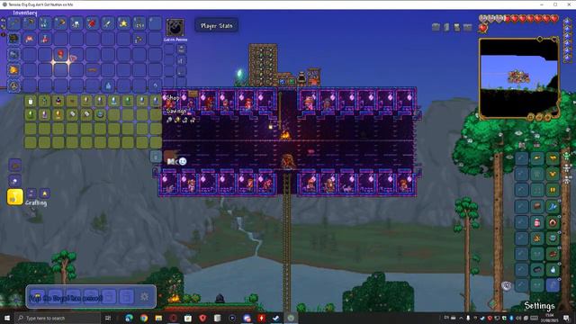Terraria Modded Starlight River + NO VOICE AUDIO Pt2 смотреть онлайн