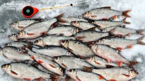 А ТЫ ЗНАЕШЬ? Какая Рыба Клюет в Марте! Не пропусти мартовский жор! Рыбалка в марте