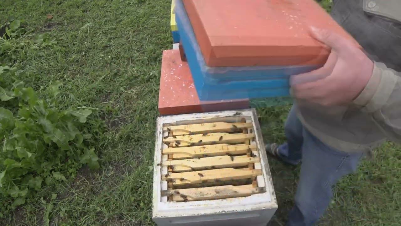 Один день! смотреть онлайн