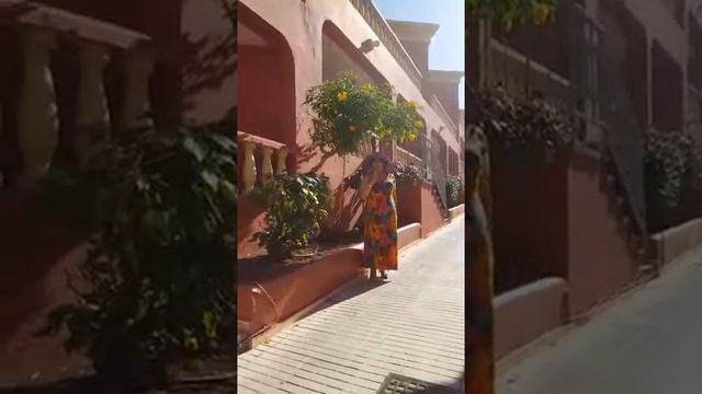 Цикл мини - уроков от Лин Бао на Тенерифе (селезенка) смотреть онлайн