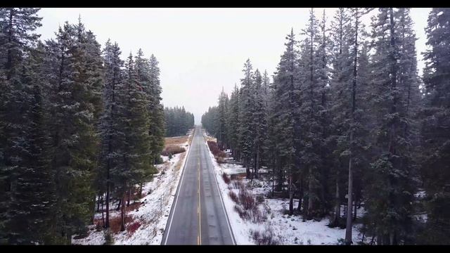 ТЕСТОВОЕ ВИДЕО 4К 2160 60fps смотреть онлайн