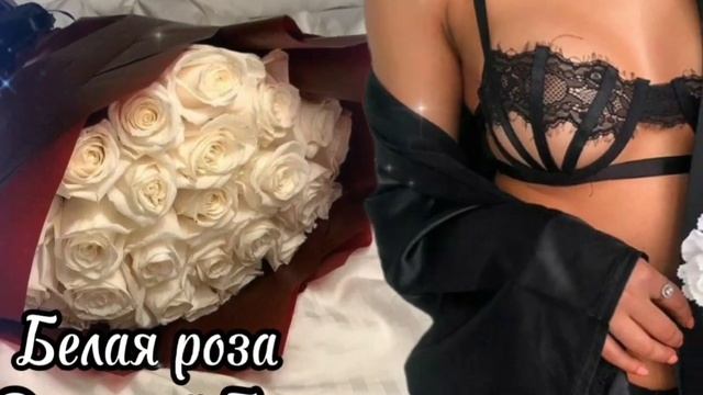 Disco Club - Белая роза. смотреть онлайн