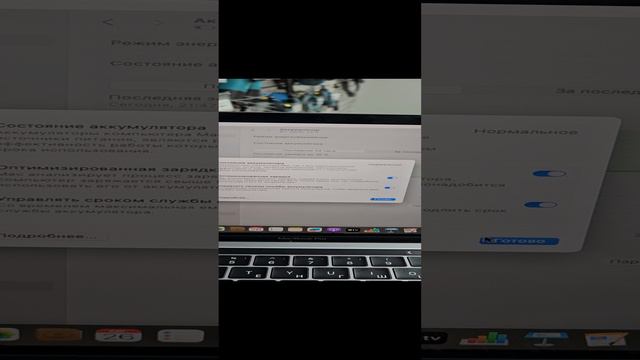 1000024772.mp4 смотреть онлайн