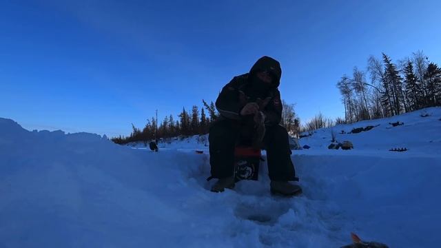 ЩУКАЛОВ В ГОСТЯХ У КЛЕВОЙ РЫБАЛКИ 2022 смотреть онлайн