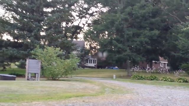 Domestic turkey flying смотреть онлайн