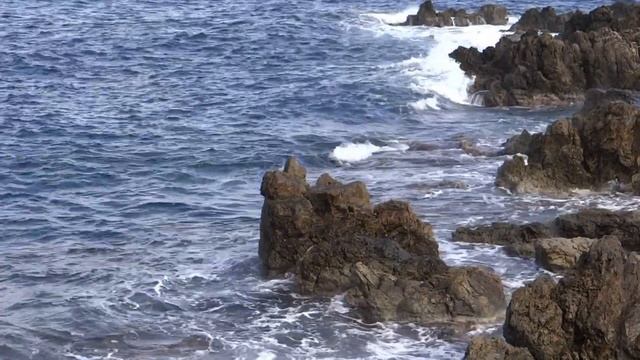 Ocean Waves 28/11/2022 & Народный танец смотреть онлайн