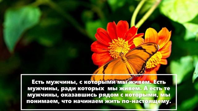 Цените отношения, время так быстротечно // Цитаты знаменитых людей смотреть онлайн