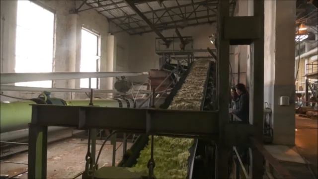 Черноземье получит свыше двух миллиардов рублей на развитие сельского хозяйства смотреть онлайн