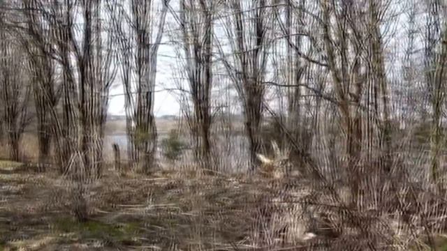 Торбеевское озеро смотреть онлайн