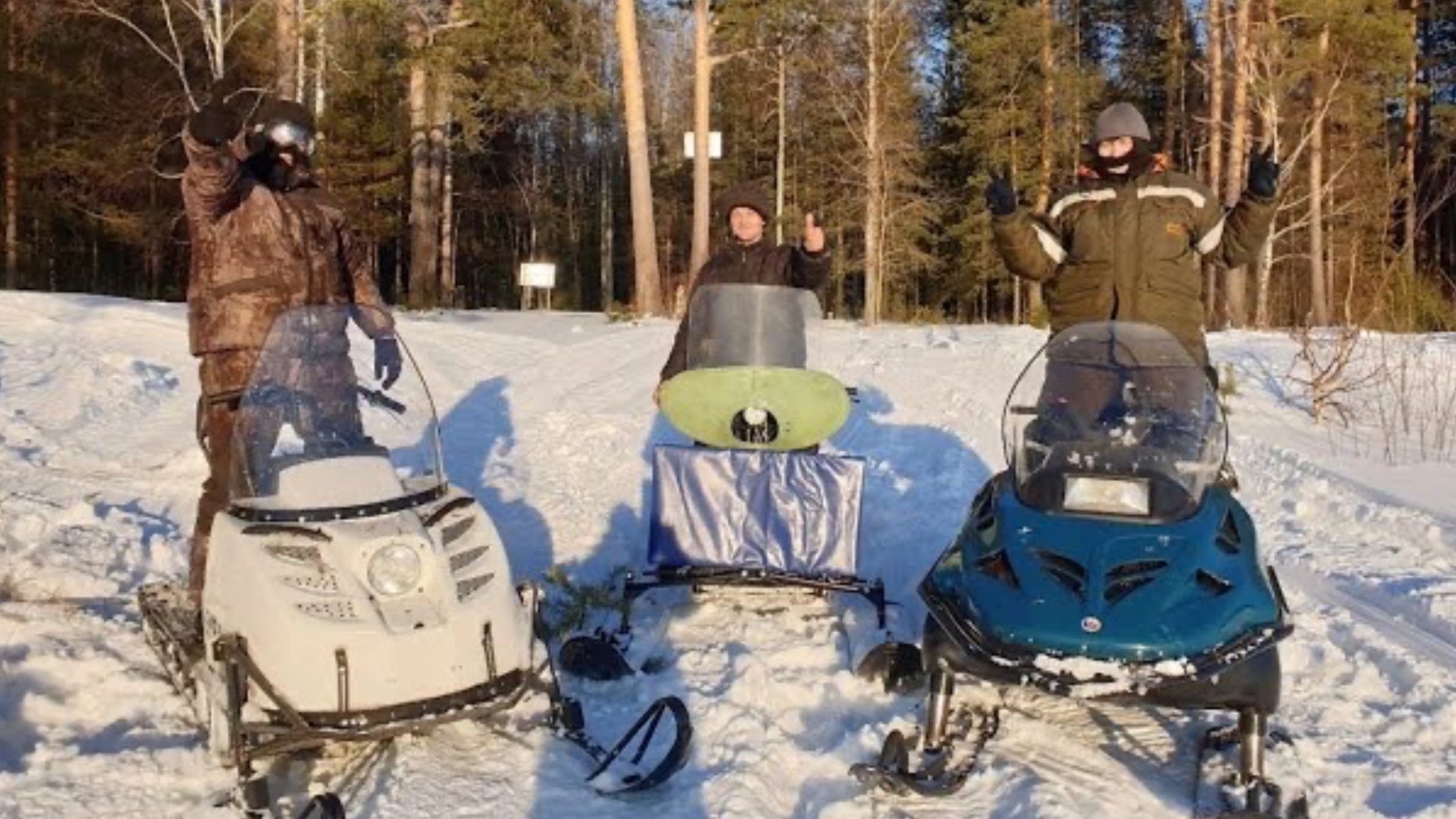 Буран и Тайга и Лидер. смотреть онлайн
