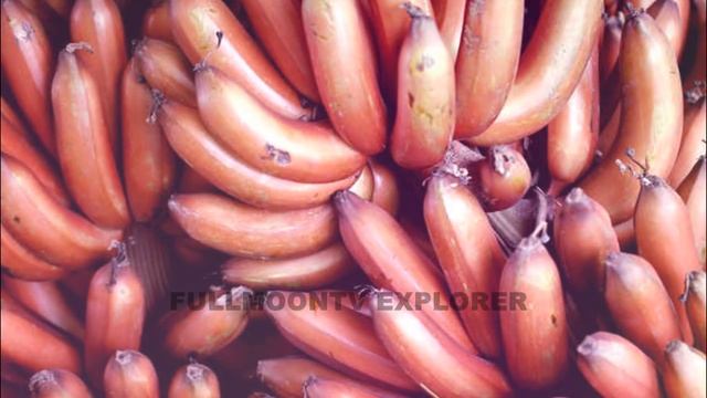சர்க்கரை நோயாளிகள் செவ்வாழை பழம் சாப்பிடலாமா | செவ்வாழை காலையில் சாப்பிடலாமா மாலையில் சாப்பிடலாமா? смотреть онлайн