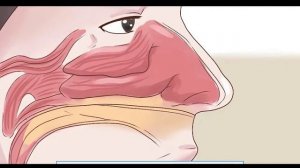 Почему заложен нос