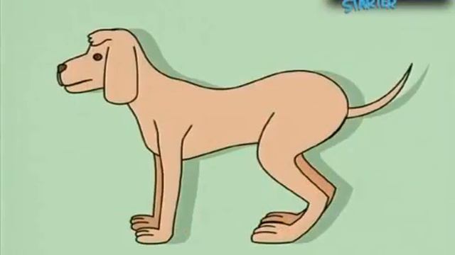 Spotlight Starter Student's Book Module 4 My Pets Lesson 1 p 52 смотреть онлайн