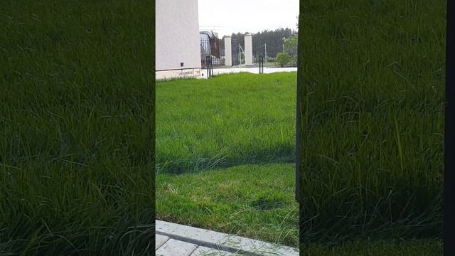 Стрижка газона на нашем объекте смотреть онлайн