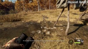 theHunter: Call of the Wild  Хоуп Гость