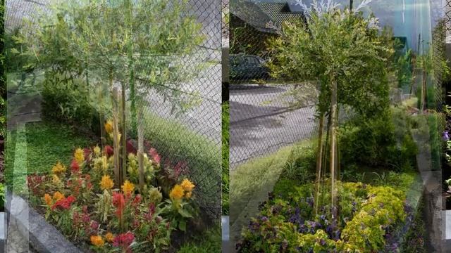 Новый дизайн Экологический центр 2017 смотреть онлайн