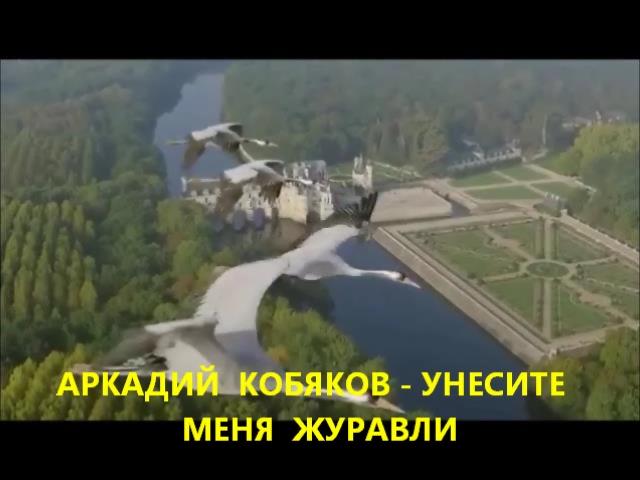 АРКАДИЙ КОБЯКОВ - УНЕСИТЕ МЕНЯ ЖУРАВЛИ смотреть онлайн