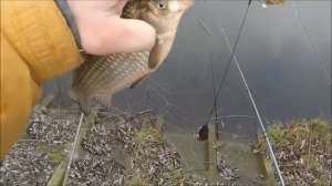 Ловля на ТАПОЧКИ .  ОТКРЫТИЕ  СЕЗОНА  2020 г.