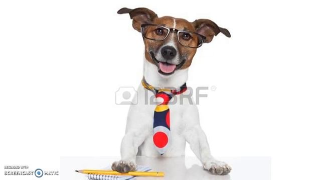 Бухучет для чайников. Часть 1 смотреть онлайн