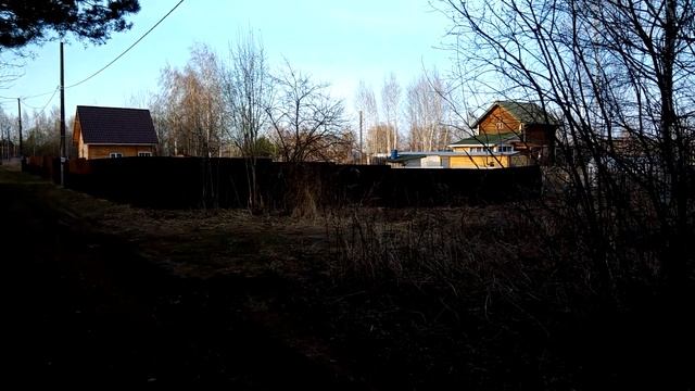 СОСНОВЫЙ ЛЕС НА УЧАСТКЕ СОСЕДА.??? смотреть онлайн