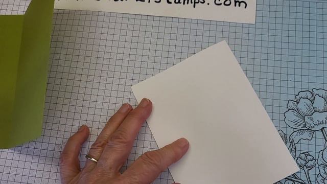 Rhino Ready Online Exclusive Bundle, Stampin'Up! Accordion Fun Fold смотреть онлайн