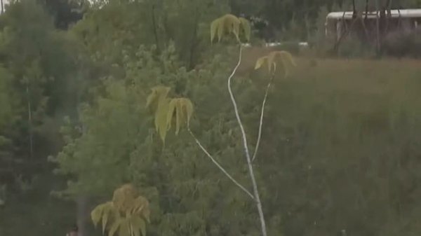 Tello. Copy test flight + stabilization from YouTube.