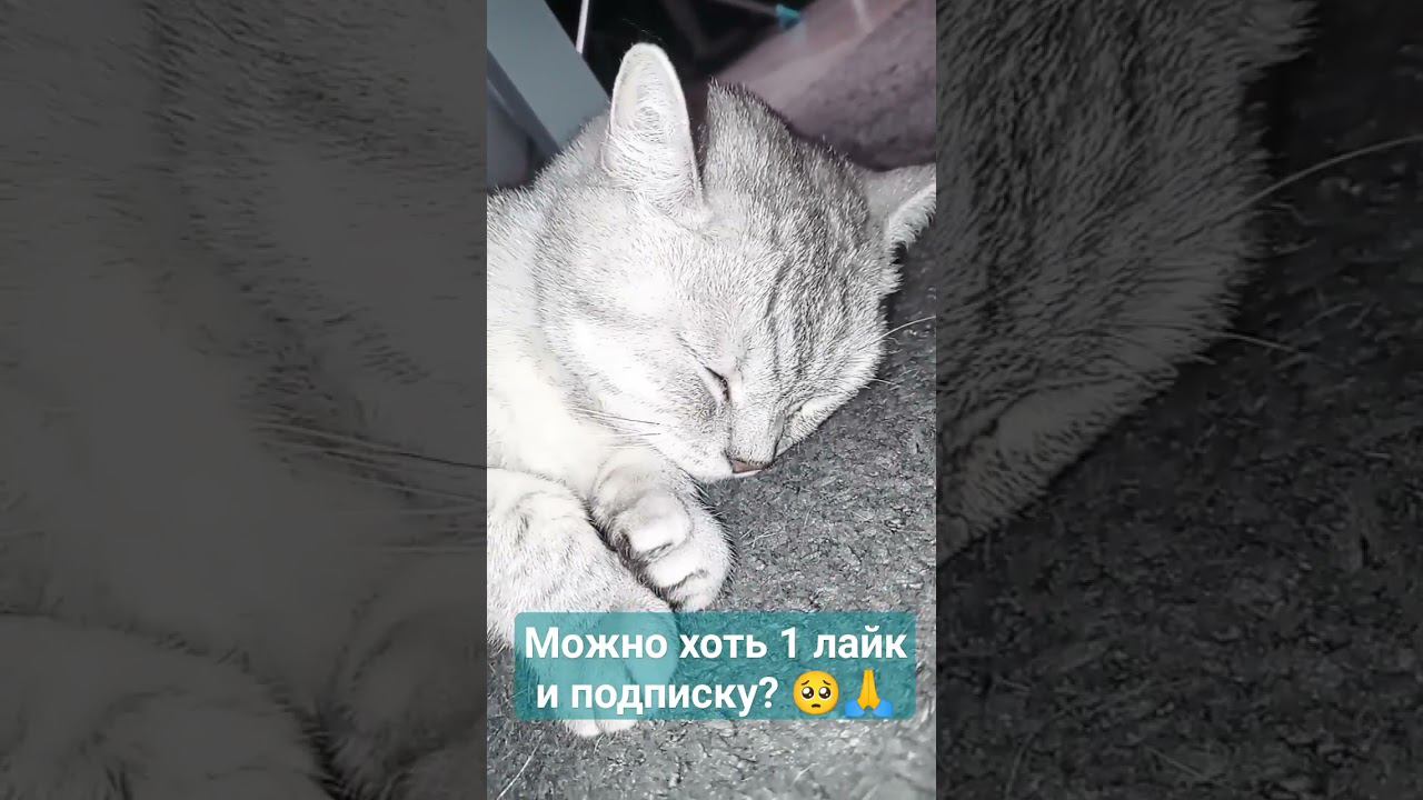 Можно лайк и подписку? #Shorts смотреть онлайн