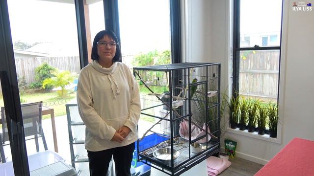 Спасение животных. Радужная дичь в нашем доме. (видео 244) смотреть онлайн