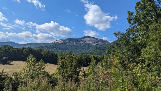 IPhone 15 Pro Max Vs Pixel 7 Pro: Which Camera Wins?