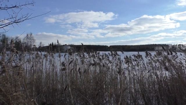 Самая красивая собака. Минск весна 2018 смотреть онлайн