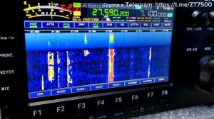 Приобрести трансиверы можно через группу в Telegram, ссылка в описании. Wolf/Волк - Zastone ZT7500.