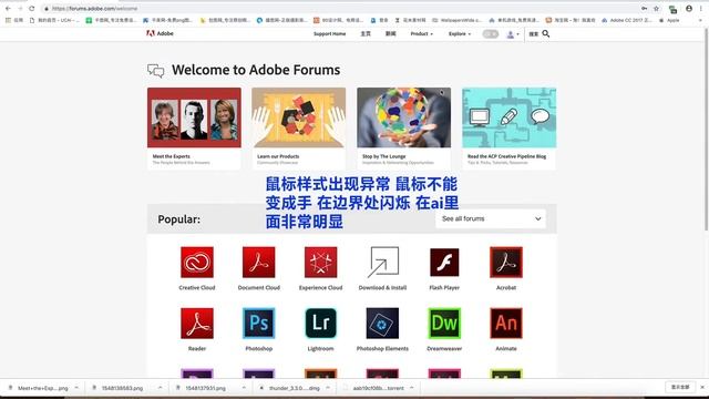 mac adobe photoshop cc2019的bug-造成鼠标抖动闪烁 смотреть онлайн