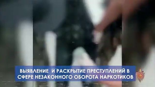 СБНОН МВД КР о наиболее значимых мероприятиях, проведенных за 12 месяцев 2021 года. смотреть онлайн