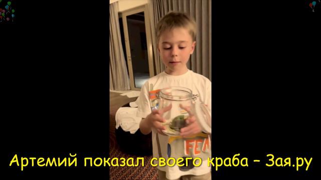 Сын Подольской и Преснякова завел себе восьминогого питомца смотреть онлайн