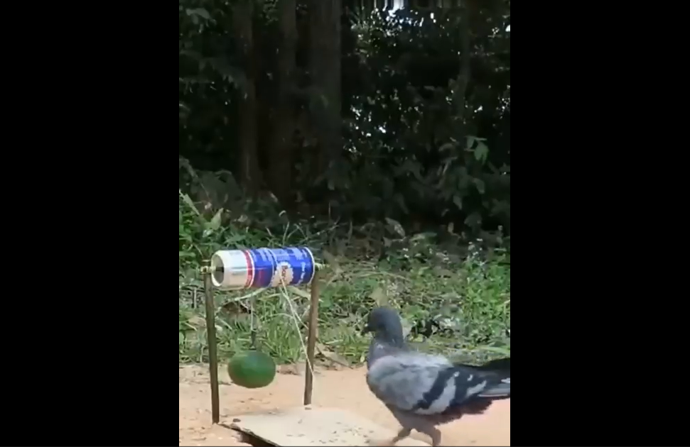 Лайфхак для студентов смотреть онлайн