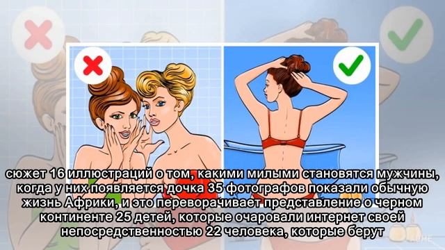 15 примеров прелестного преображения собак после весенней стрижки смотреть онлайн