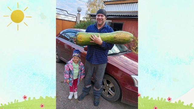 Межмуниципальный онлайн фотоконкурс "Супер Папа!" смотреть онлайн