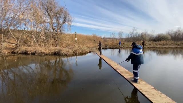 Платная рыбалка, пруд Чёрные камни 15.11.20г. Уловы рыбаков. смотреть онлайн