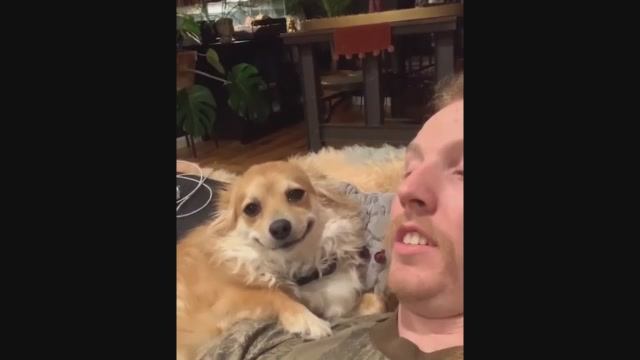 СМЕШНЫЕ ВИДЕО ПОДБОРКА#71 смотреть онлайн