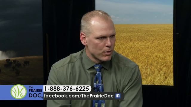 Otolaryngology: Beyond Ear Tubes and Sinuses | On Call with the Prairie Doc® | Feb. 4, 2021 смотреть онлайн