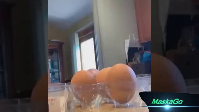 Мужик с лысой головой замаскировался среди обычных яиц смотреть онлайн