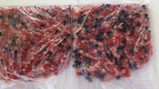 108 Дача 4 сотки. Купание уток. Новые тропинки. С 1го по 6е августа..mp4 смотреть онлайн