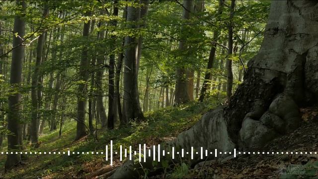My Little Universe Game Soundtrack Part 1 смотреть онлайн