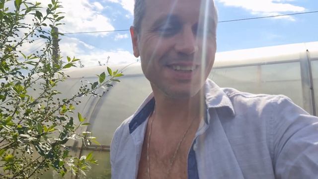 Приехали на дачу - снимаем отчет для бабушки и паримся в бане смотреть онлайн