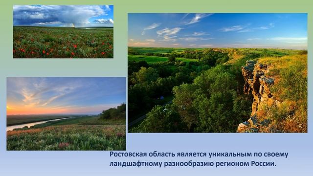 красная книга Ростовской области смотреть онлайн